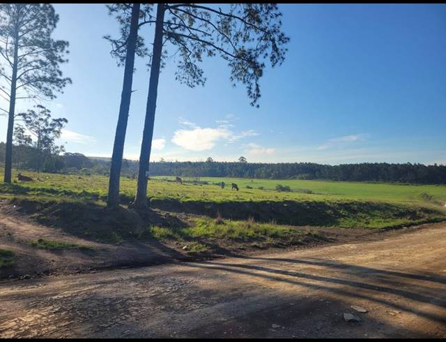 FARM FOR SALE IN HARDING